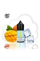 Nasty Salt - Mango Ice (30mL) Salt Likit